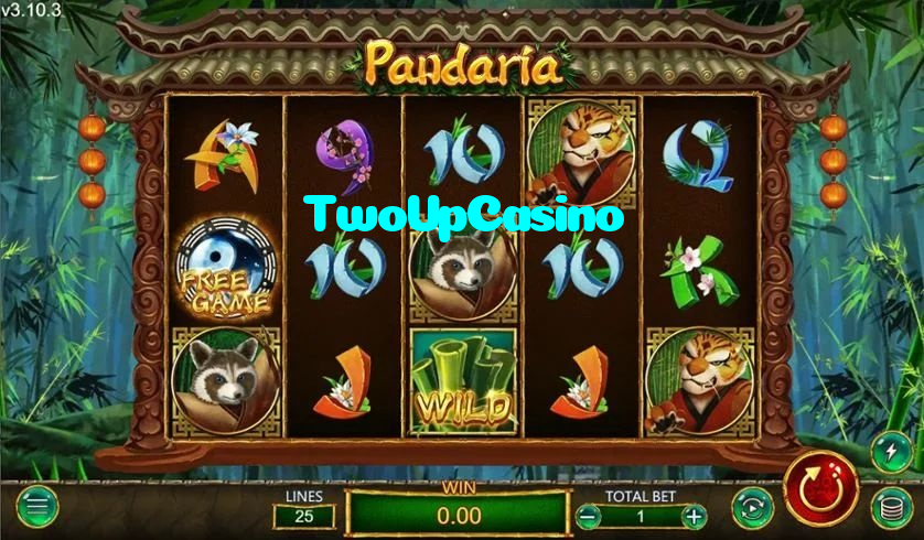 available types of TwoUpCasino bet including pre-match live express and system bets